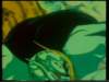 Photo Number 15
